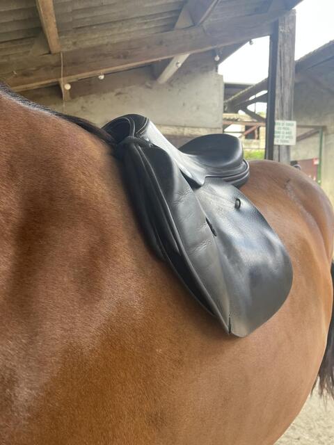 Selle childeric noire