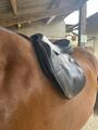 Selle childeric noire