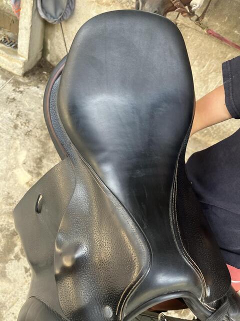 Selle childeric noire