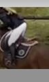 Pantalon de concours pikeur prisca