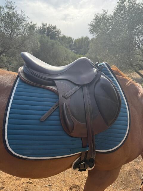 Selle antares