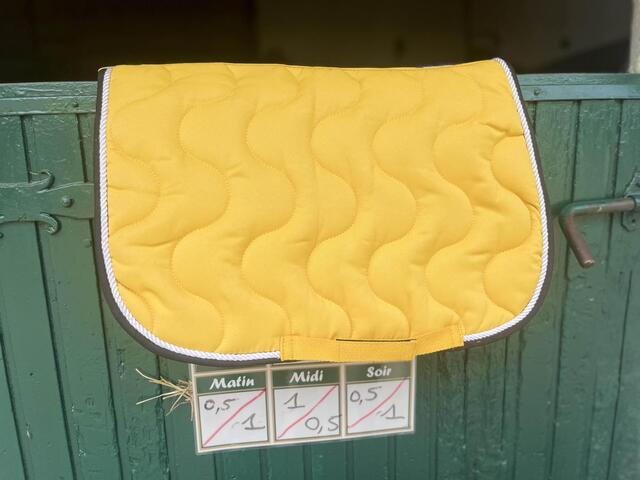 Tapis jaune équitheme