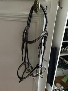 Filet Releveur Poney D