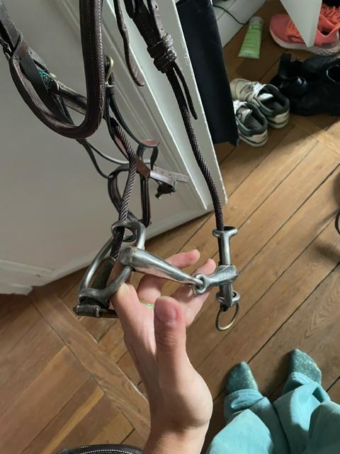 Filet Releveur Poney D