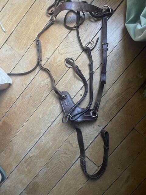 Collier de chasse - martingale Poney Marron