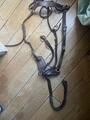 Collier de chasse - martingale Poney Marron