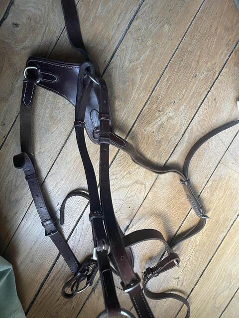 Collier de chasse - martingale Poney Marron