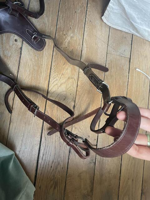 Collier de chasse - martingale Poney Marron