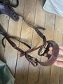 Collier de chasse - martingale Poney Marron