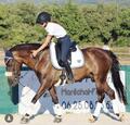 Selle de dressage monoquartier noire 16,5