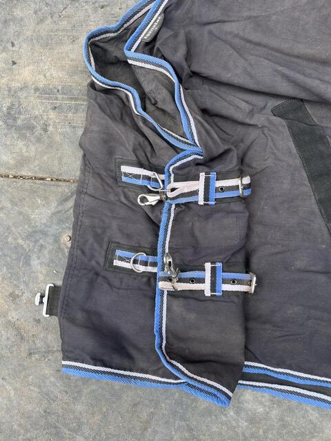 Chemise equitheme coton bleu marine 5,9