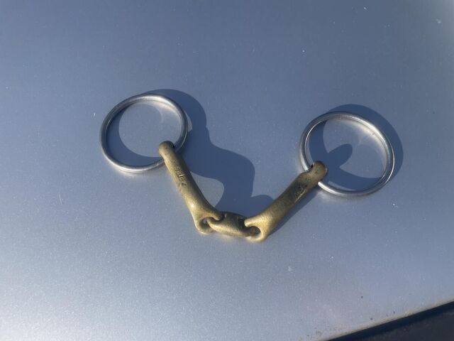Mors Verbindend Neue Schule