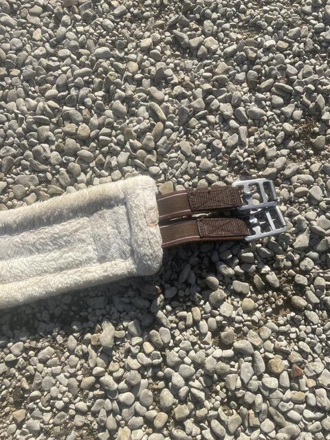 Sangle mouton double élastiques