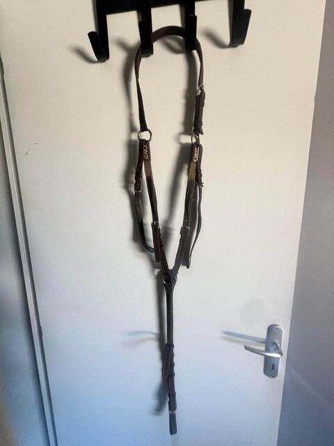 collier de chasse CWD