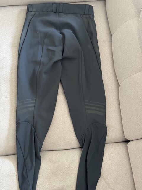 Pantalon Horse Pilot Gris