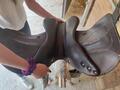 Selle Antares 17,5" 2023