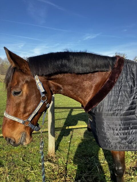 Couverture EQUITHÈME Teddy doublée mouton