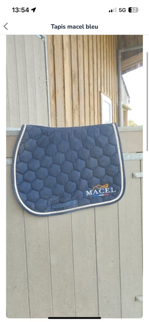 Tapis bleu