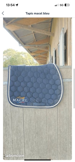 Tapis bleu
