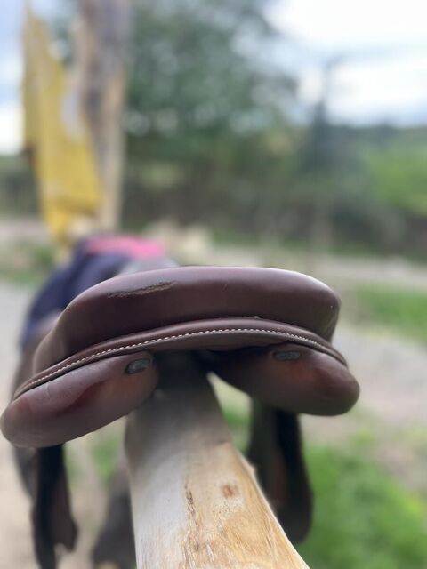Selle renaissance 17,5