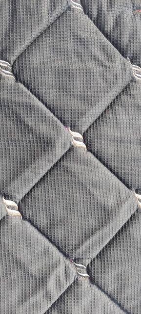 Tapis dressage