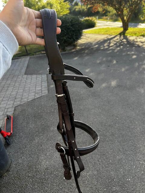 filet taille poney