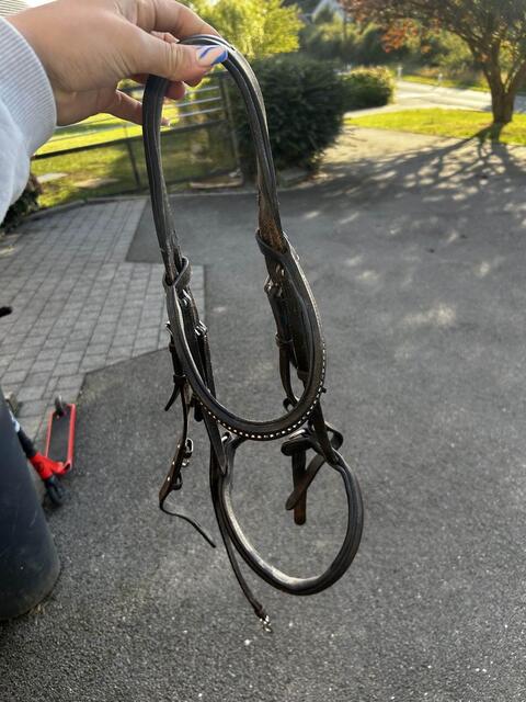 filet taille poney