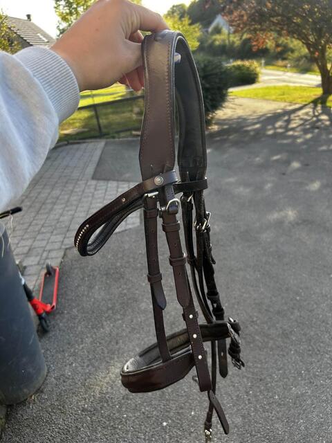 filet taille poney