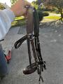 filet taille poney
