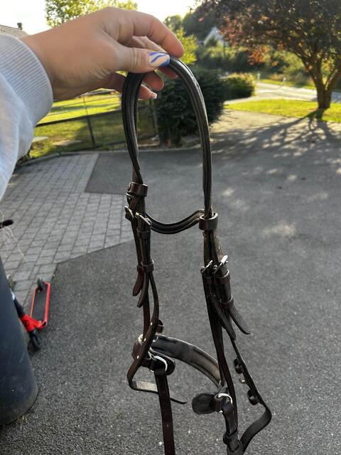 filet taille poney