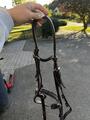 filet taille poney