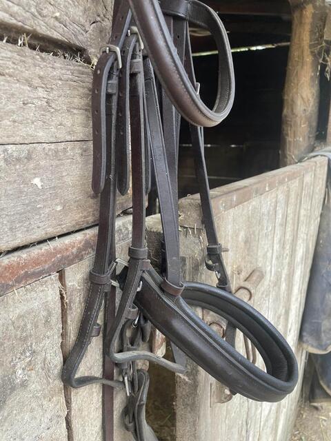 Bride taille cheval