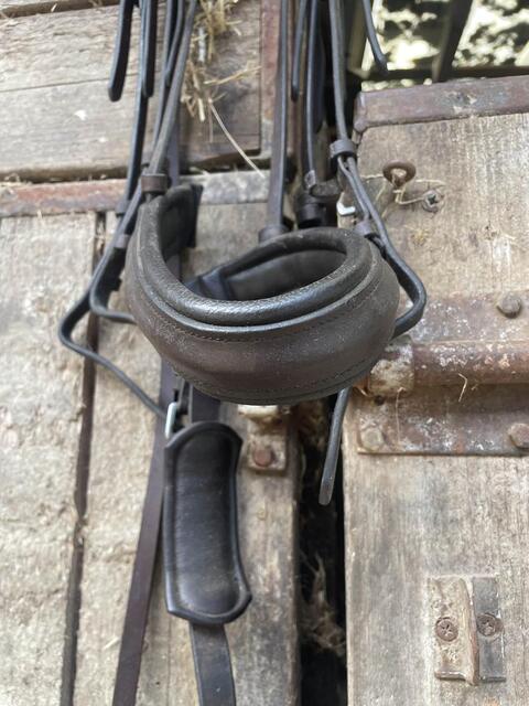 Bride taille cheval