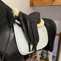 selle Gaston Mercier Doline II
