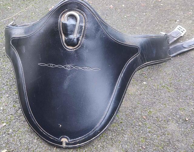 selle Brunet pineau