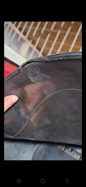Selle mixte Eric Thomas