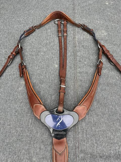 collier de chasse Antarès