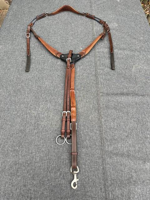 collier de chasse Antarès