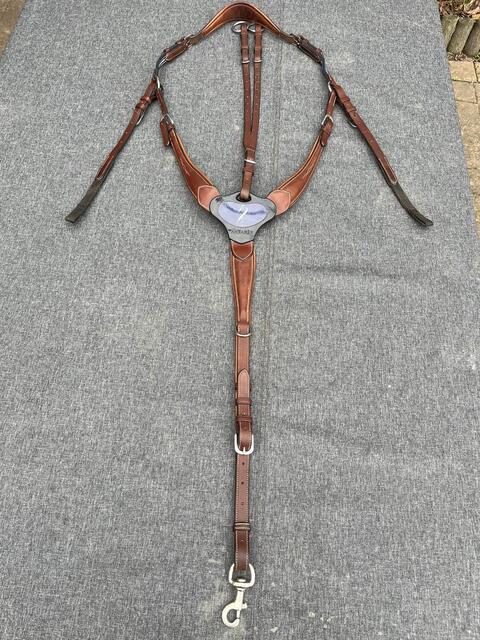 collier de chasse Antarès