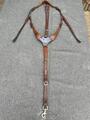 collier de chasse Antarès