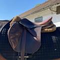Selle Bruno Delgrange 17 mixte/cso