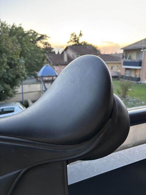 Selle Norton Réxine