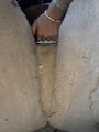 Selle Western