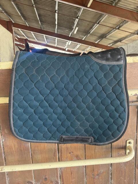 tapis Horse pilot bleu canard