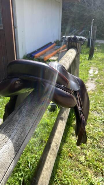 Selle CWD 17’’ 2016