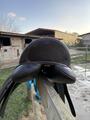 selle Wintec