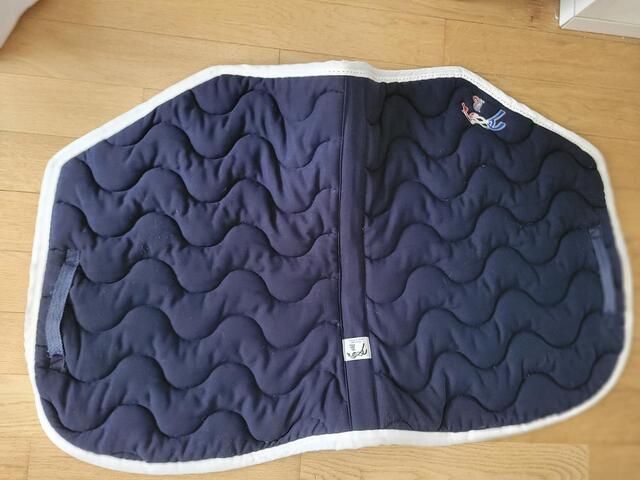 Tapis bleu cso peneloppe