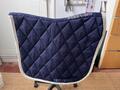 tapis dressage harry’s horse