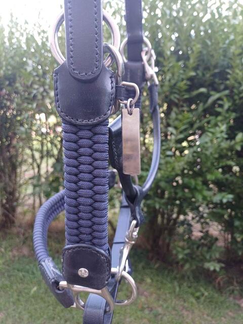 licol cuir corde silver crown