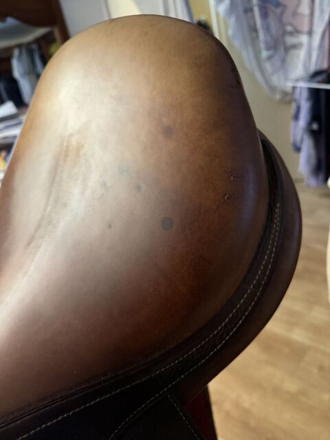 Selle Spooner Antares tendance obstacle T18